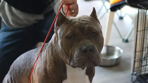 euronationals2022 (23)