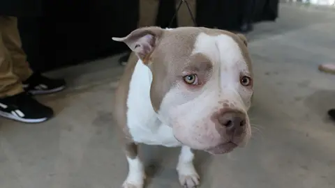 euronationals2022 (27)