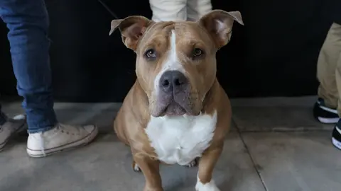 euronationals2022 (26)