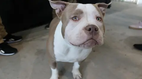 euronationals2022 (28)