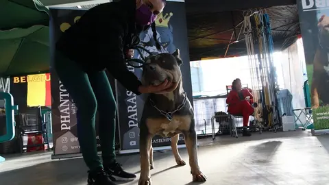 euronationals2022 (31)