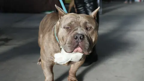 euronationals2022 (32)