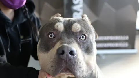 euronationals2022 (34)