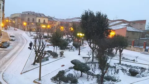 Imagen de Toro en plena borrasca Filomena. Fotografía: Ayuntamiento de Facebook
