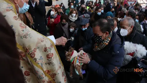 Bendición de animales por la festividad de San Antón. | FOTO: Marcos Vicente