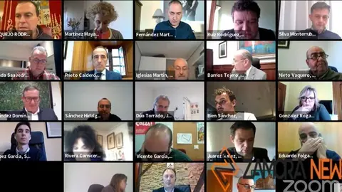 Pleno "virtual" de la Diputación de Zamora