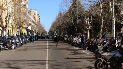 Zamora se Motauriza (35)