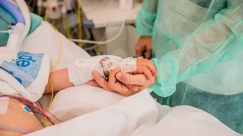 Foto archivo técnico sanitario