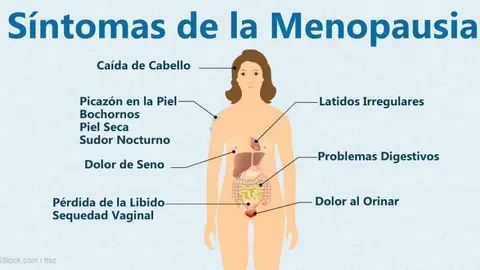 e7c255be2c3c28e807a2ebd054fa4d7b_XL