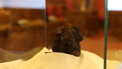 trufa negra