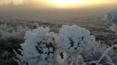 Helada en la provincia de Zamora