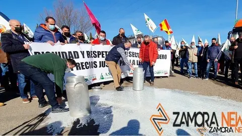 Protestas de los ganaderos de Zamora