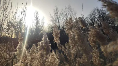 8afc559b-fe03-4f6b-a569-8d3c106eaf1d