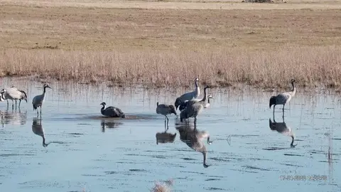 Imagen de un humedal