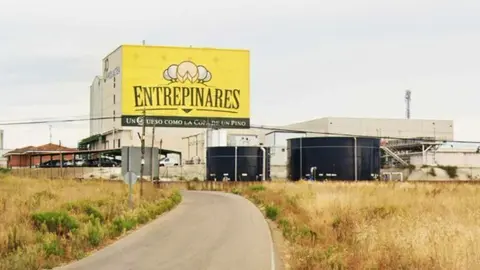 Planta-Entrepinares-en-Castrogonzalo-768x474