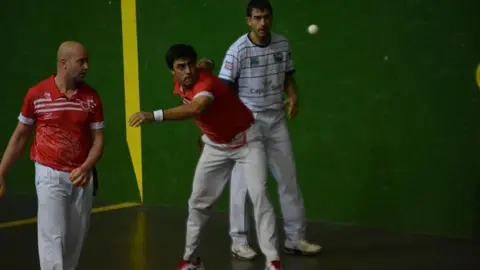 pelota