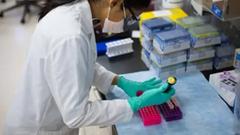 Una sanitaria en un laboratorio. Foto Ecyl