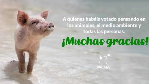 Cartel de agradecimiento electoral de PACMA