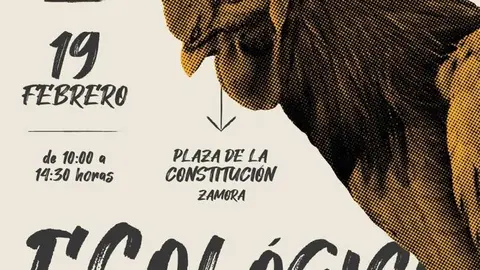 Mercado Ecológico Febrero