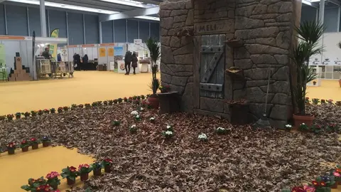 III Feria Internacional Apícola (13)
