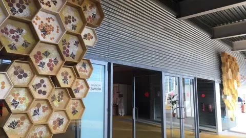 III Feria Internacional Apícola (19)