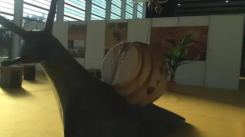 III Feria Internacional Apícola (1)