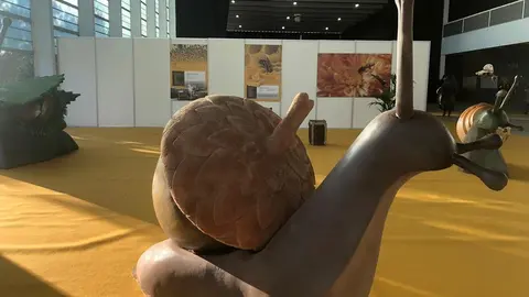 III Feria Internacional Apícola (1)