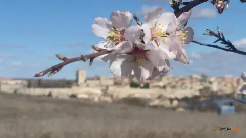 Vistas de la catedral