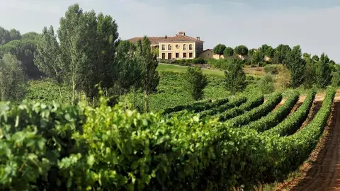 Ruta del Vino Ribera del Duero