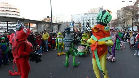 desfile de carnaval en zamora (13)