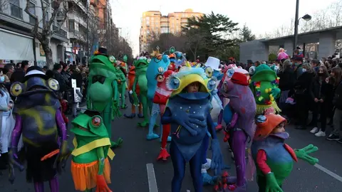 desfile de carnaval en zamora (14)