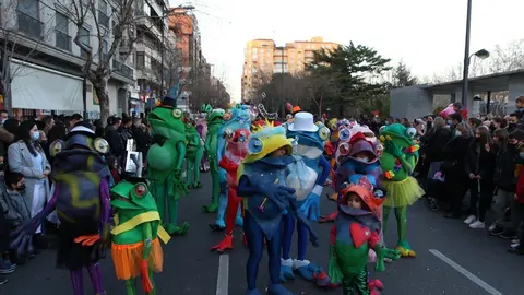 desfile de carnaval en zamora (15)