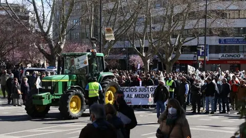 Tractorada Zamora (13)