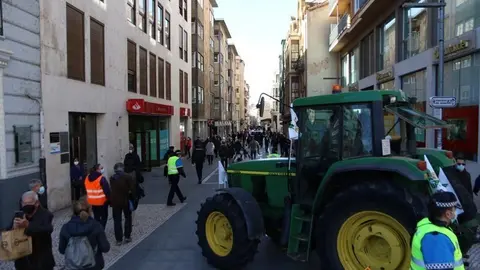 Tractorada Zamora (16)