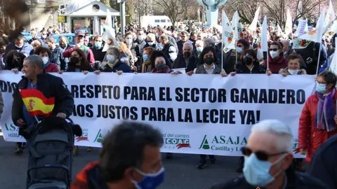 Tractorada Zamora (19)