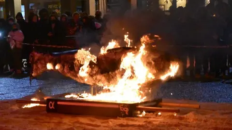 Entierro de la Sardina Zamora (8)