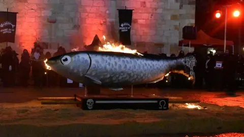 Entierro de la Sardina Zamora