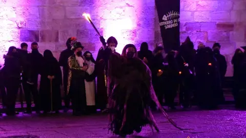 Entierro de la Sardina Zamora (12)