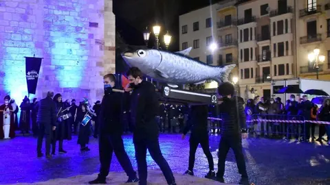 Entierro de la Sardina Zamora (19)