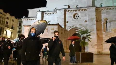 Entierro de la Sardina Zamora (24)