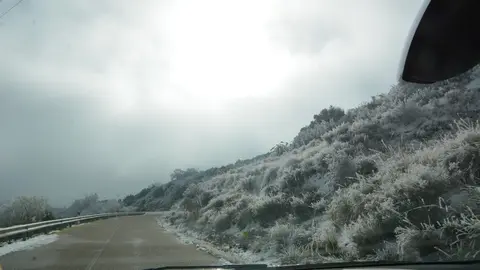 frio heladas (20)