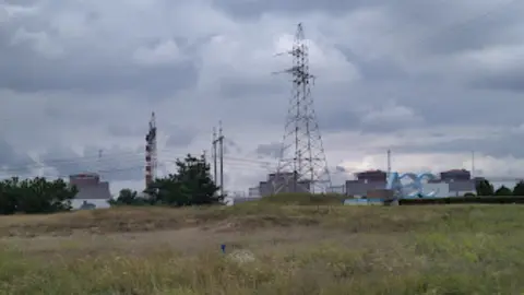 Central nuclear
