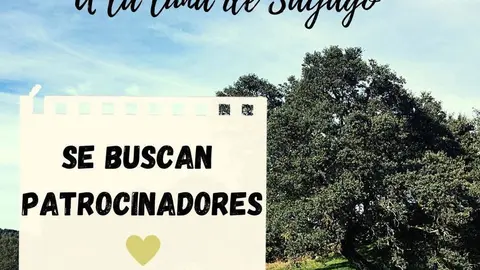 Cartel IV Certamen Literario "A la luz de Sayago"