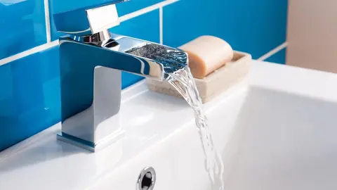 imagen de archivo grifo