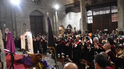 TunaZamora7