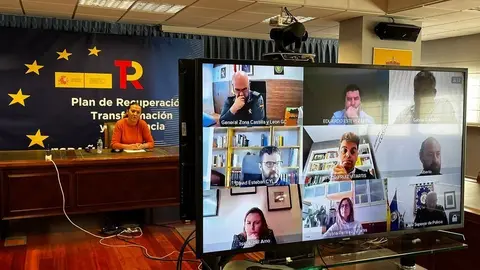 Virginia Barcones durante la reunión online