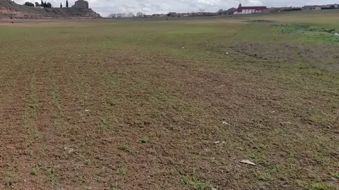 Terrenos del embalse sembrados en Montamarta