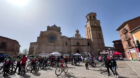 VinToroBike (81)