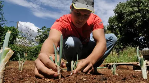 Agricultor. Foto de archivo