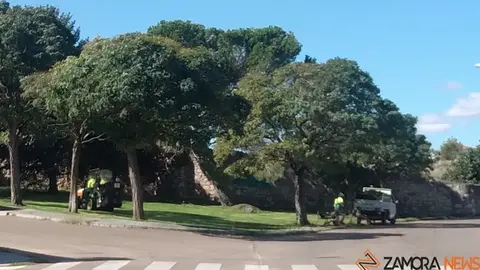 Trabajadores de Parques y Jardines en Pinilla